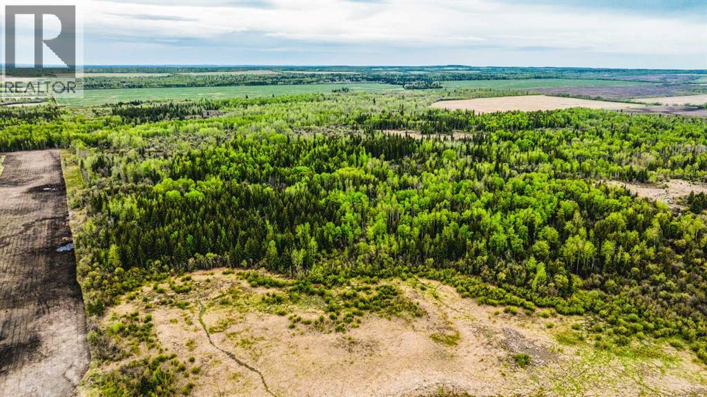 SE 81106 TWP RD 812 - Photo 12