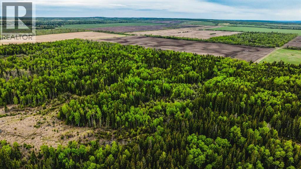 SE 81106 TWP RD 812 - Photo 16