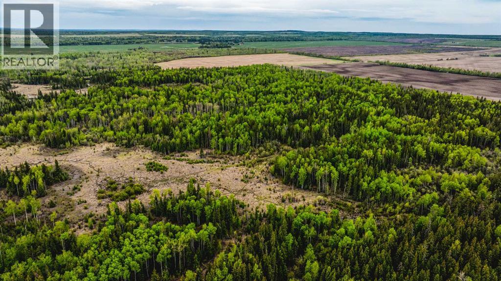 SE 81106 TWP RD 812 - Photo 15