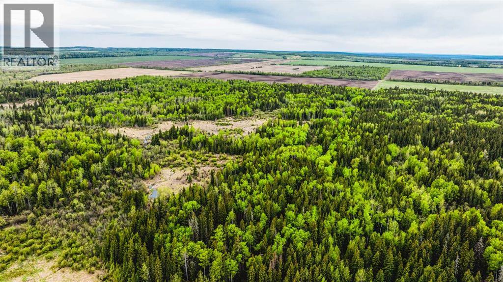 SE 81106 TWP RD 812 - Photo 13