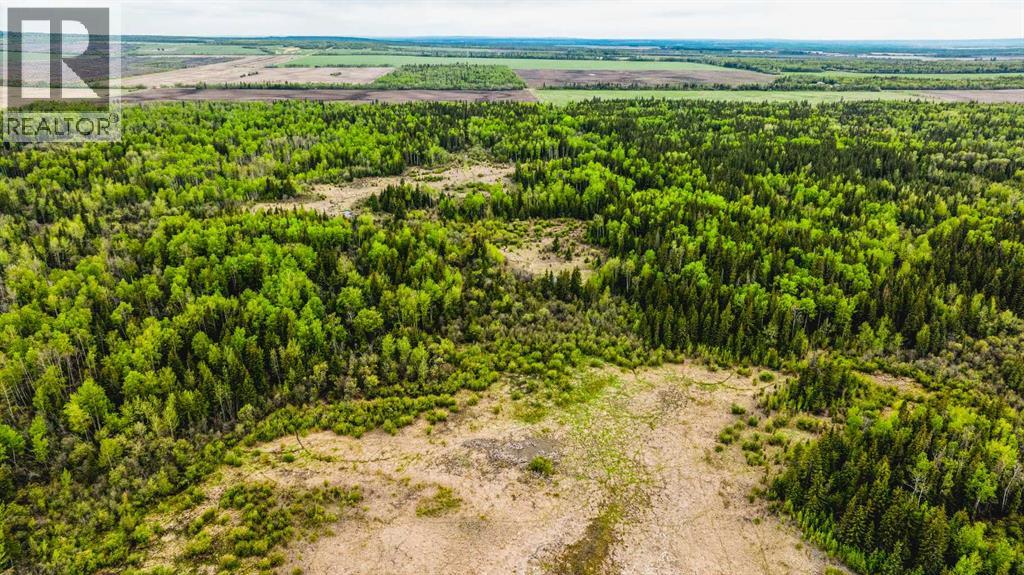 SE 81106 TWP RD 812 - Photo 11