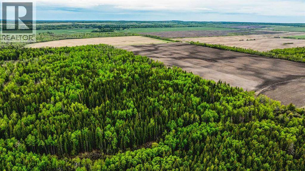 SE 81106 TWP RD 812 - Photo 21