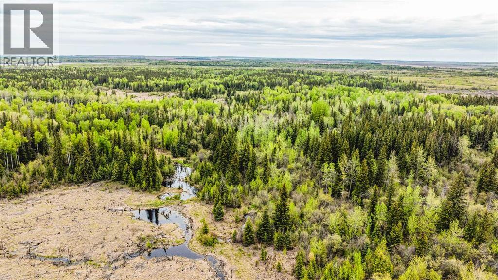 SE 81106 TWP RD 812 - Photo 30