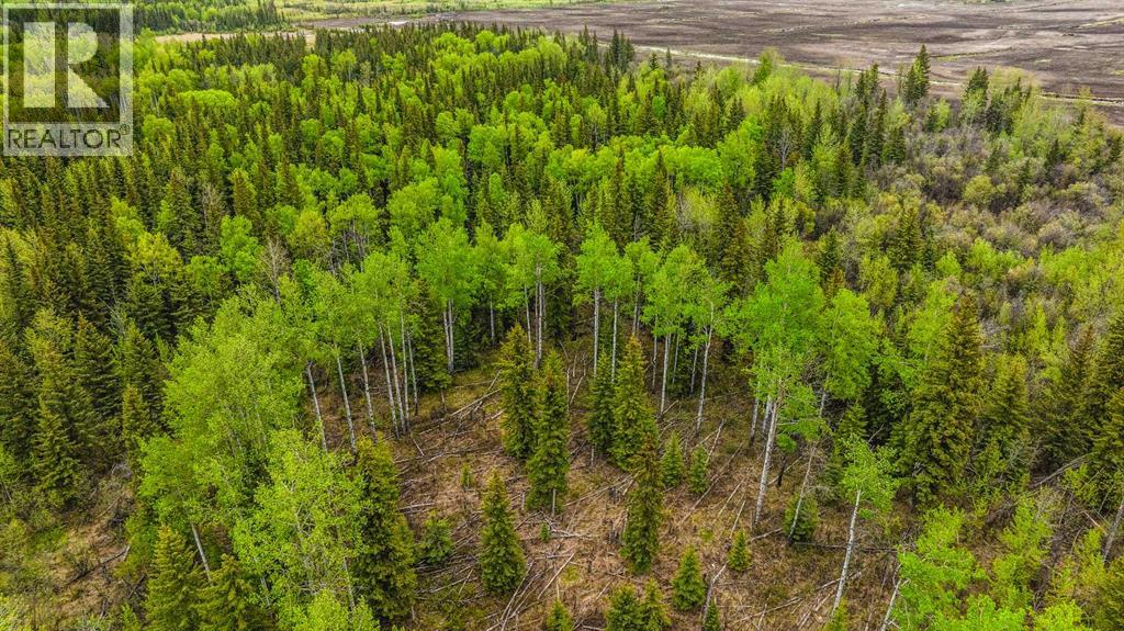 SE 81106 TWP RD 812 - Photo 33