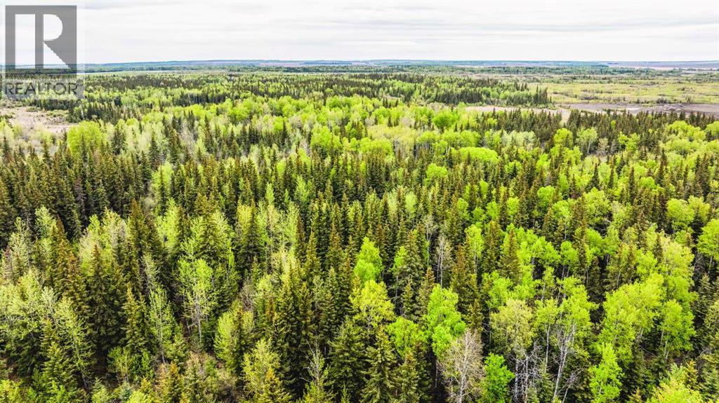 SE 81106 TWP RD 812 - Photo 34