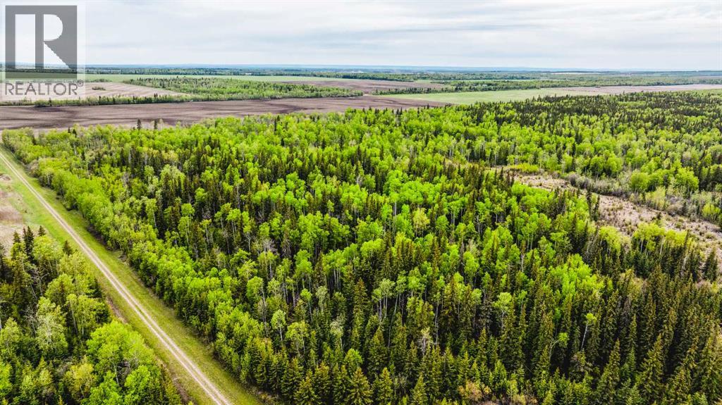 SE 81106 TWP RD 812 - Photo 42