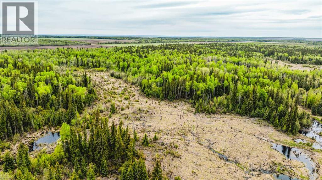 SE 81106 TWP RD 812 - Photo 29