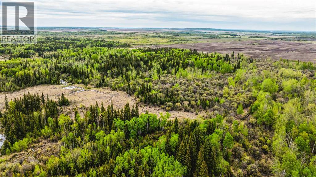 SE 81106 TWP RD 812 - Photo 44