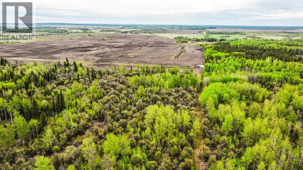 SE 81106 TWP RD 812 - Photo 46