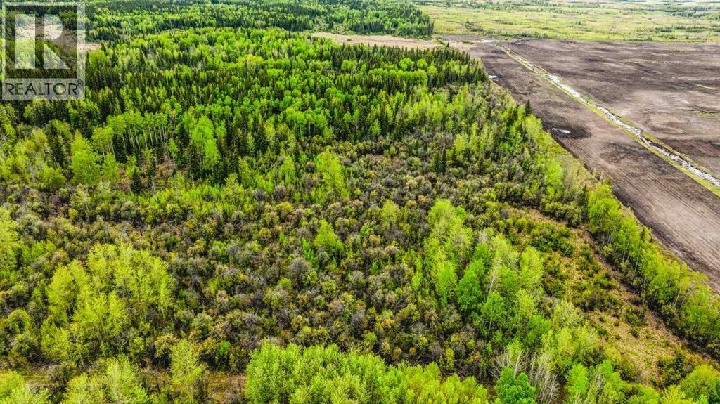 SE 81106 TWP RD 812 - Photo 47
