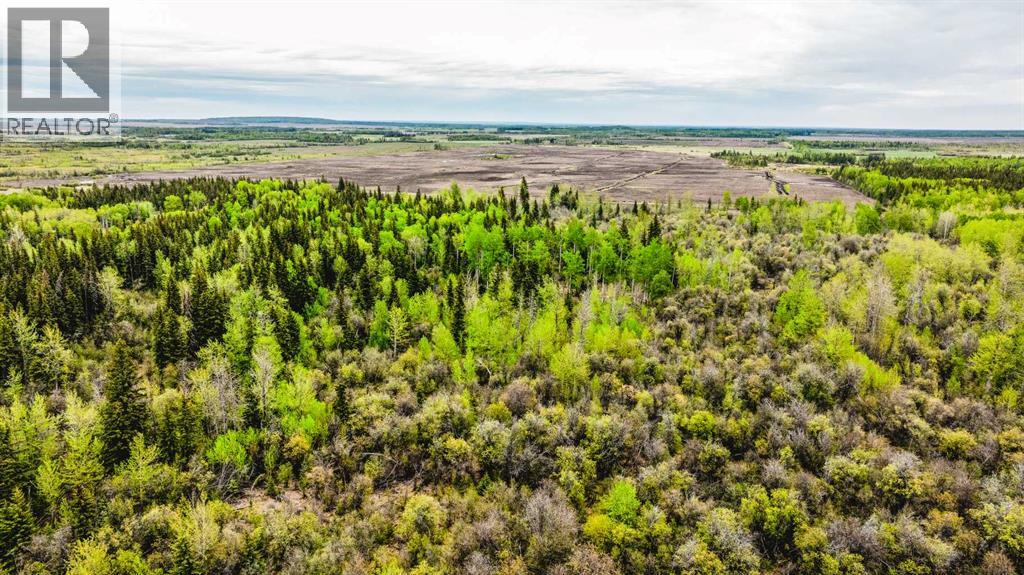 SE 81106 TWP RD 812 - Photo 31