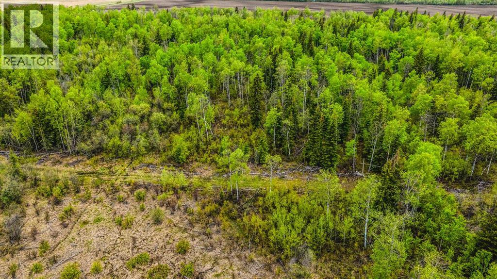 SE 81106 TWP RD 812 - Photo 36