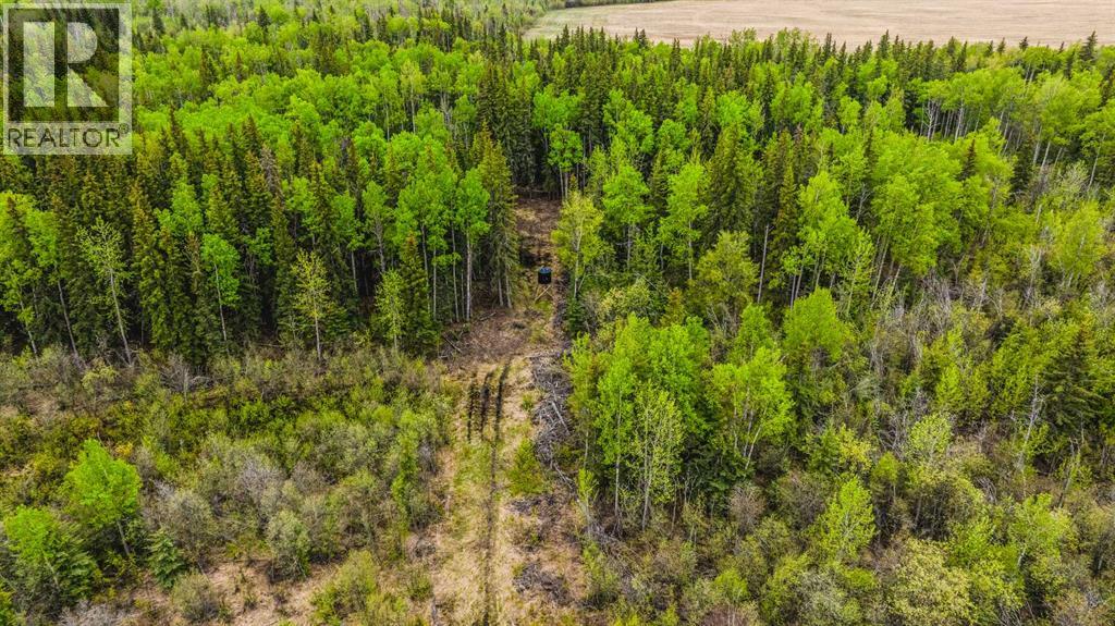 SE 81106 TWP RD 812 - Photo 37
