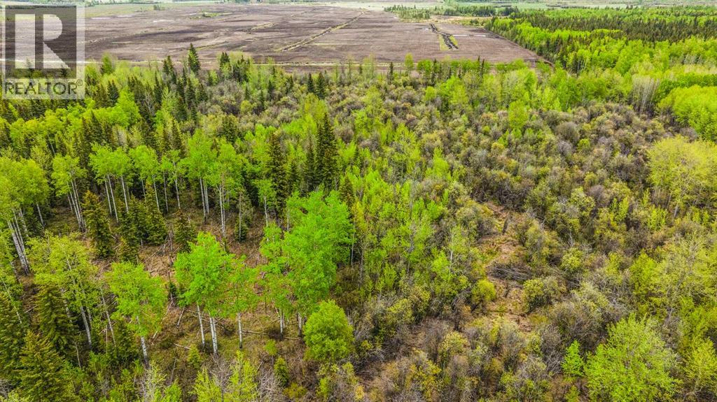 SE 81106 TWP RD 812 - Photo 32