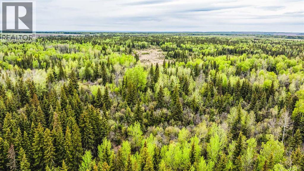 SE 81106 TWP RD 812 - Photo 35