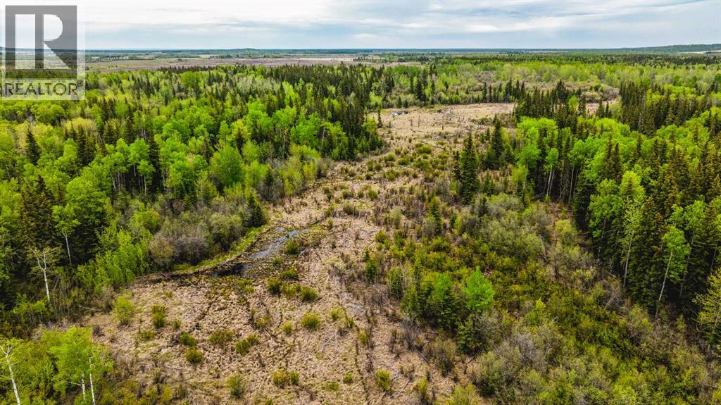 SE 81106 TWP RD 812 - Photo 38