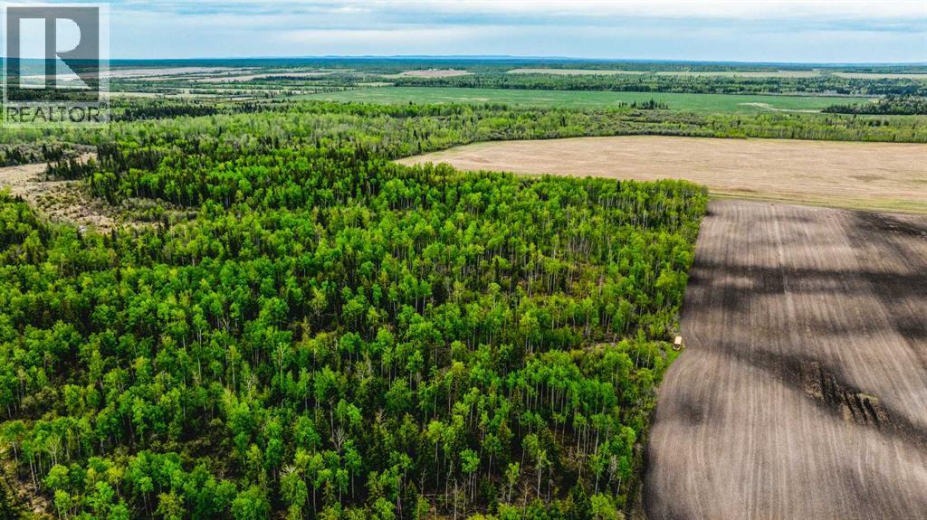 SE 81106 TWP RD 812 - Photo 23