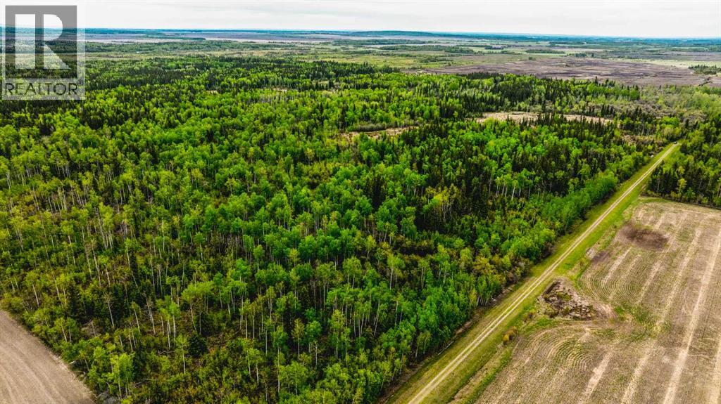 SE 81106 TWP RD 812 - Photo 27