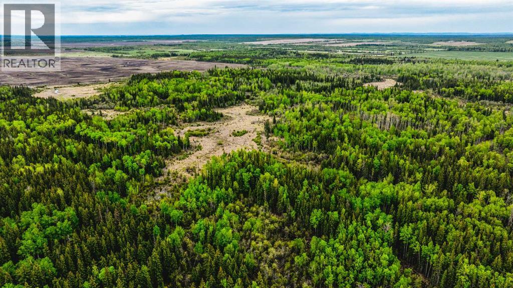 SE 81106 TWP RD 812 - Photo 22