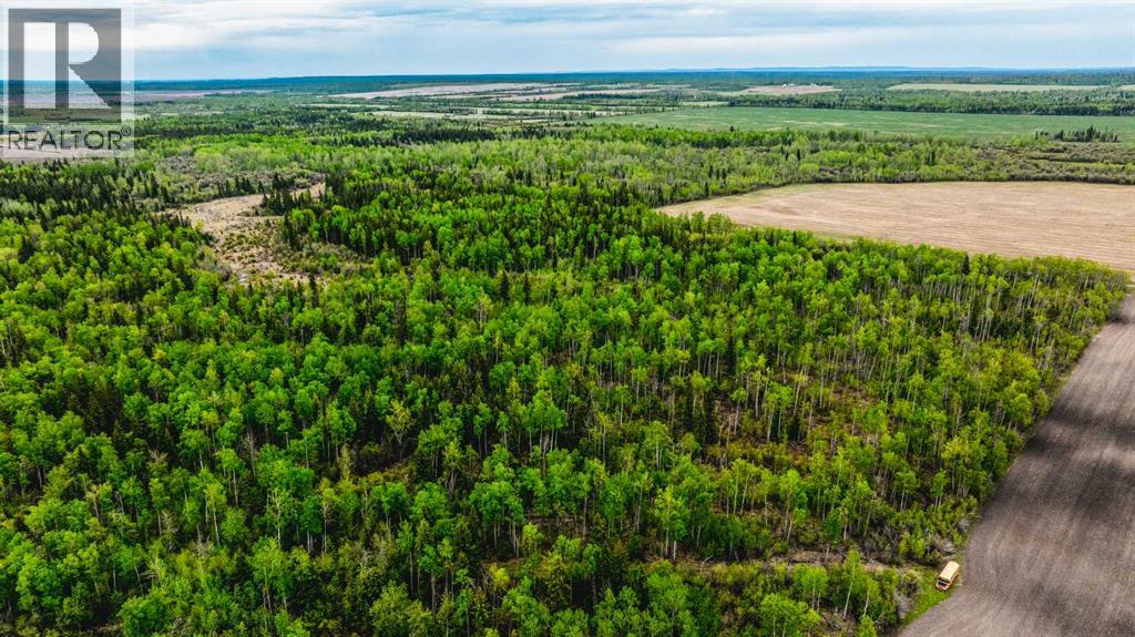 SE 81106 TWP RD 812 - Photo 24
