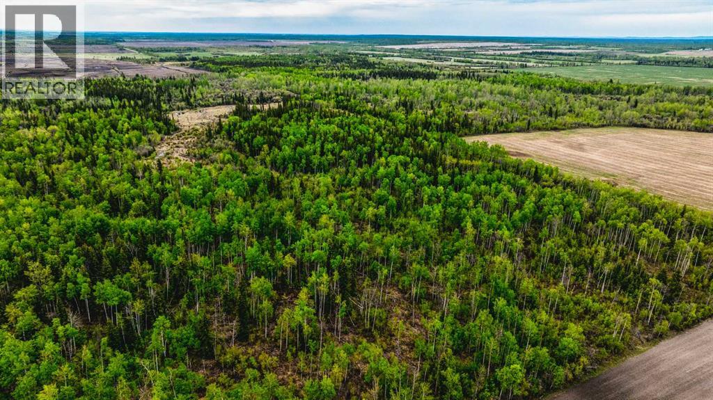 SE 81106 TWP RD 812 - Photo 26