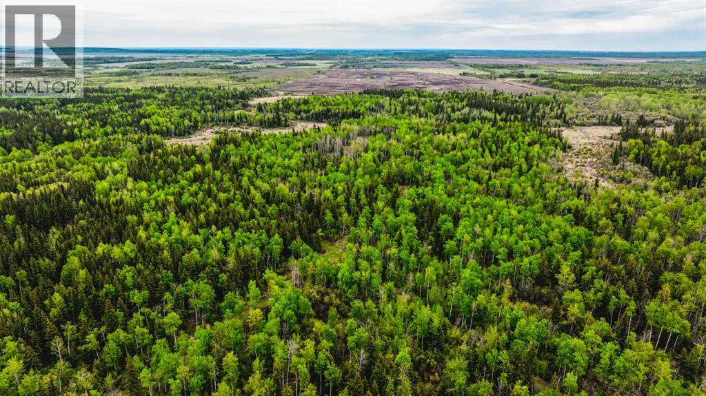 SE 81106 TWP RD 812 - Photo 25