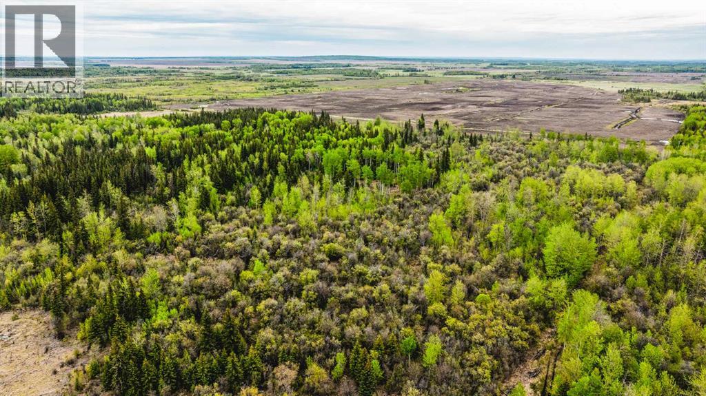 SE 81106 TWP RD 812 - Photo 45