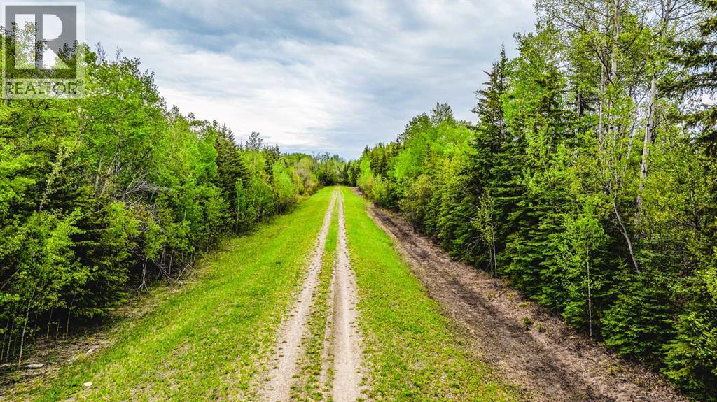 SE 81106 TWP RD 812 - Photo 40