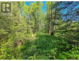 Lot 14 Con 9 Blount Twsp, Cochrane, ON P0L1C0 Photo 6