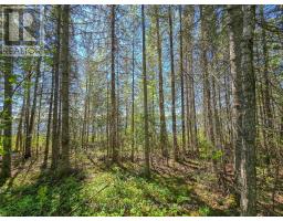Lot 14 Con 9 Blount Twsp, Cochrane, ON P0L1C0 Photo 8
