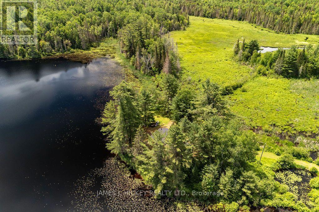 37467 HIGHWAY 17 HIGHWAY - Image 48