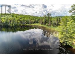 37467 Highway 17 Highway, Laurentian Hills, ON K0J1P0 Photo 37