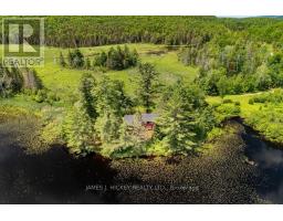 37467 Highway 17 Highway, Laurentian Hills, ON K0J1P0 Photo 40