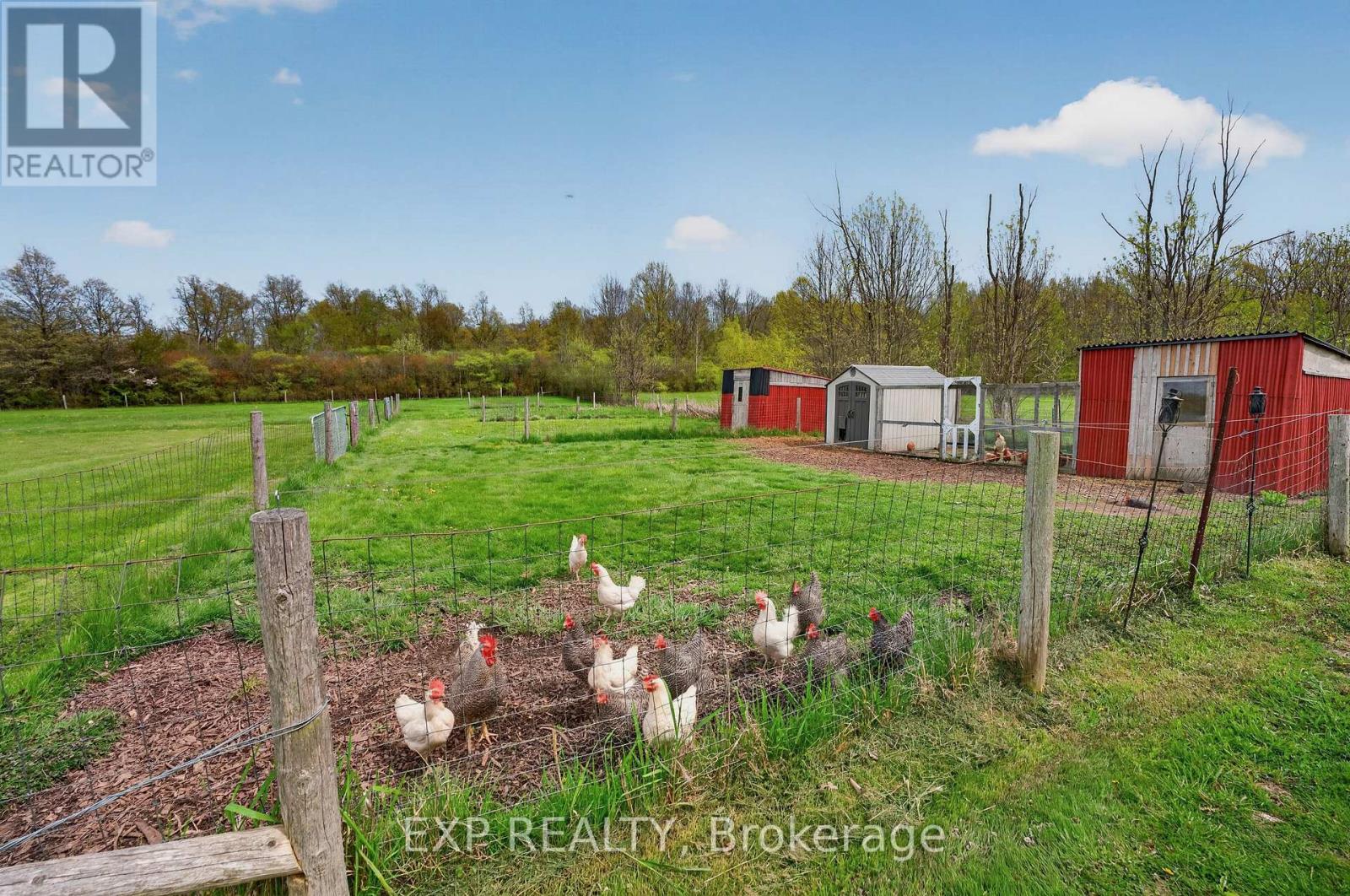 2266 PETTIT ROAD - Image 6