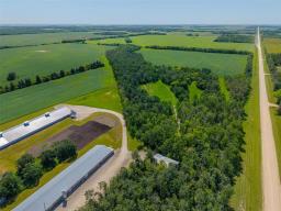 6003 E 89n Road, Gunton, MB R0C1H0 Photo 49