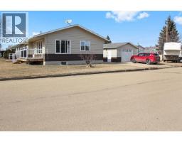 4801 48 Avenue, Forestburg, AB T0B1N0 Photo 27