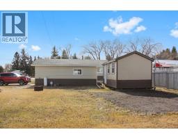 4801 48 Avenue, Forestburg, AB T0B1N0 Photo 33