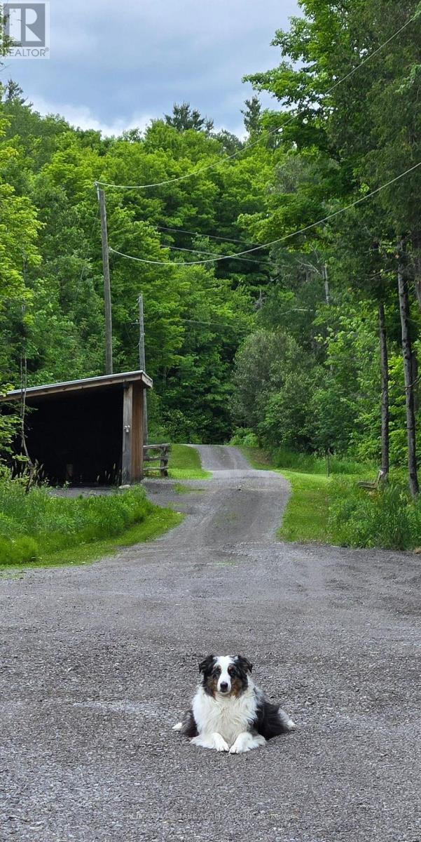 466 STEWARTVILLE ROAD W - 41