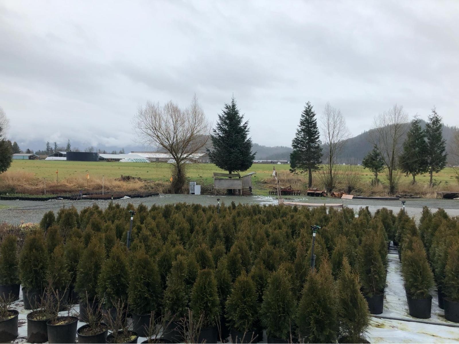 5390 MCCALLUM ROAD, Agassiz, Agassiz
