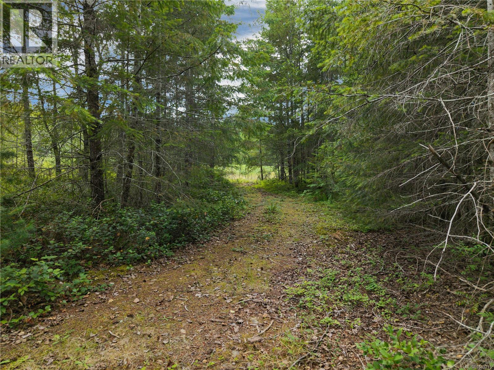 3866 Pinecrest Rd - 9