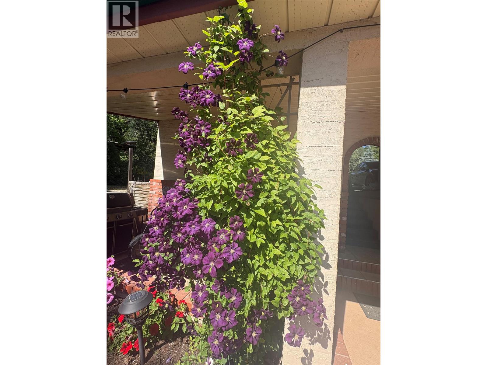 2302 Happy Valley Road - 7