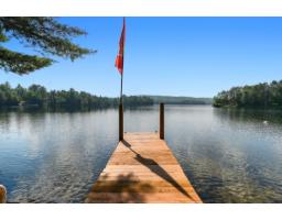 68 Ch. Stephens, Otter Lake, QC J0X2P0 Photo 24