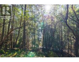 Lot 1 Old Scott Rd, Salt Spring, BC V8K2L6 Photo 11