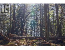 Lot 2 Old Scott Rd, Salt Spring, BC V8K2L6 Photo 13