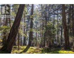 Lot 2 Old Scott Rd, Salt Spring, BC V8K2L6 Photo 14