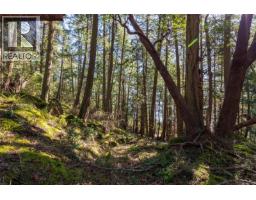 Lot 2 Old Scott Rd, Salt Spring, BC V8K2L6 Photo 12