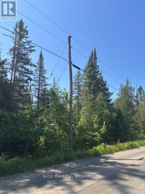 2A PT LT 12 CON 2 BOUNDARY ROAD, Parry Sound Remote Area (Lount) — photo 4