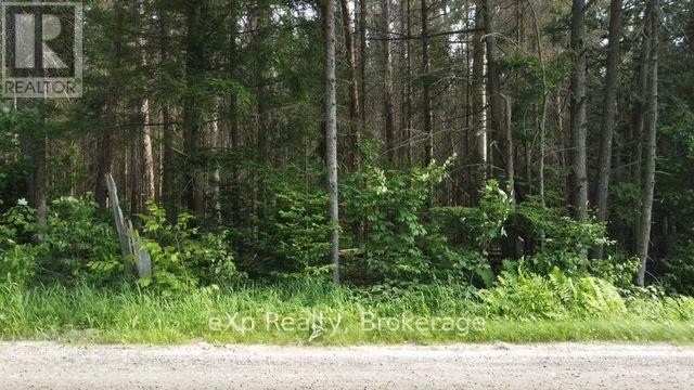 1A   PT LT 12 CON 2 BOUNDARY ROAD, Parry Sound Remote Area (Lount) — photo 4