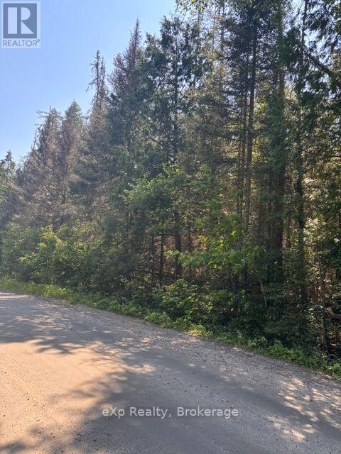 1A   PT LT 12 CON 2 BOUNDARY ROAD, Parry Sound Remote Area (Lount) — photo 5