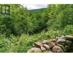 626280 15th Side Road, Mulmur, ON L9V0T4 Photo 36